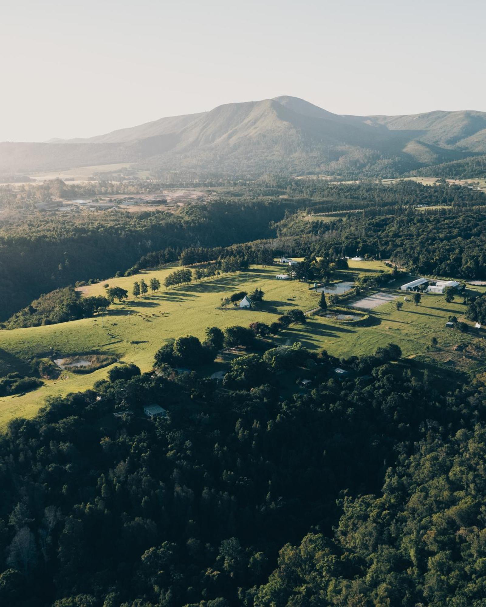 Firefly Falls Plettenberg Bay Exterior foto