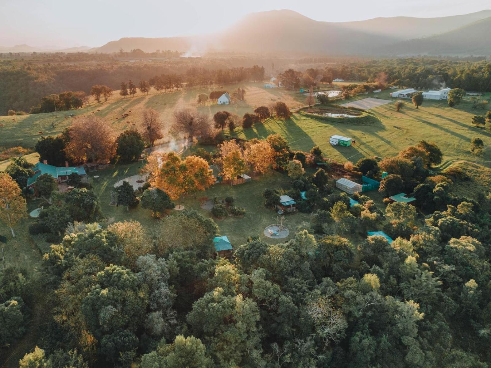 Firefly Falls Plettenberg Bay Exterior foto